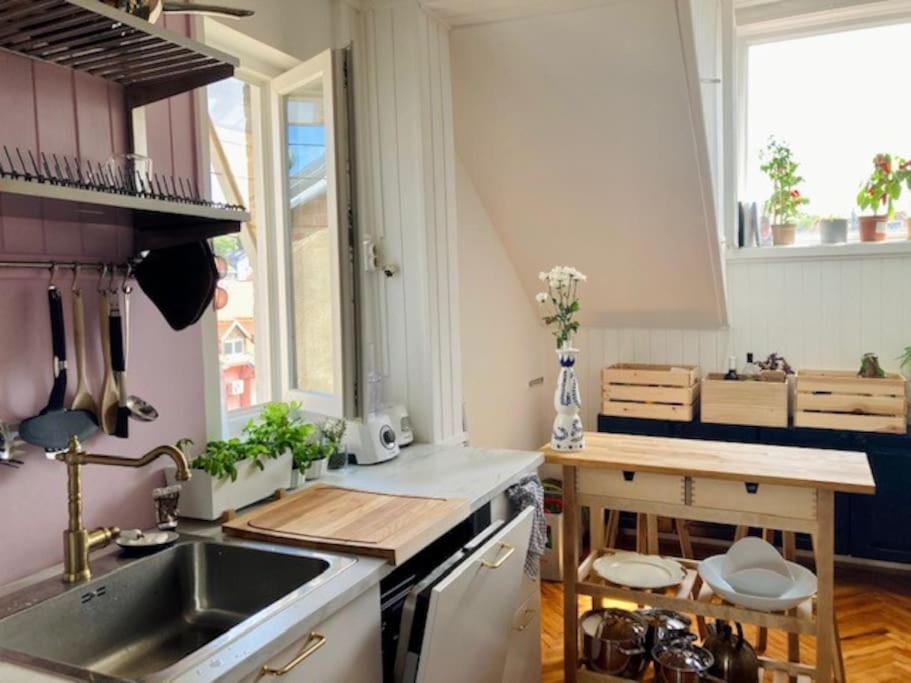 Big, Bright Apartment In The Center Of Zagreb Dış mekan fotoğraf