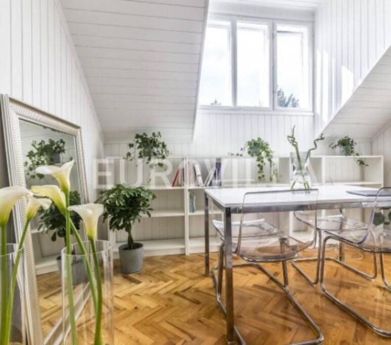 Big, Bright Apartment In The Center Of Zagreb Dış mekan fotoğraf