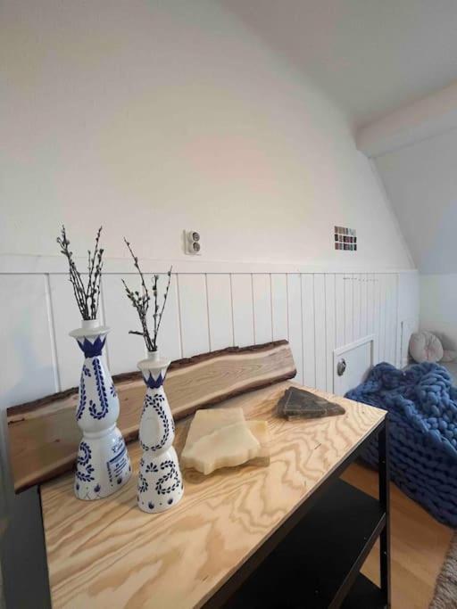 Big, Bright Apartment In The Center Of Zagreb Dış mekan fotoğraf