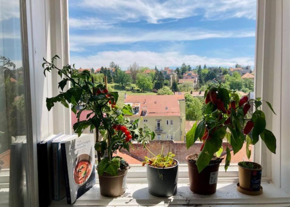 Big, Bright Apartment In The Center Of Zagreb Dış mekan fotoğraf
