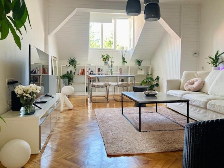 Big, Bright Apartment In The Center Of Zagreb Dış mekan fotoğraf
